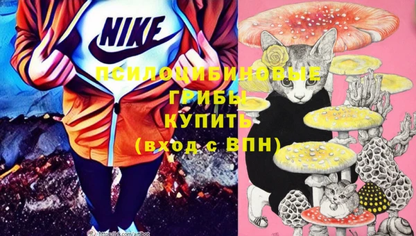 гашик Баксан