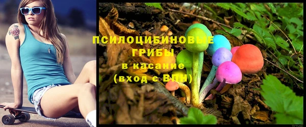 гашик Баксан