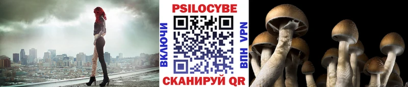 Псилоцибиновые грибы Psilocybine cubensis  гидра ссылка  Старый Крым  закладки 